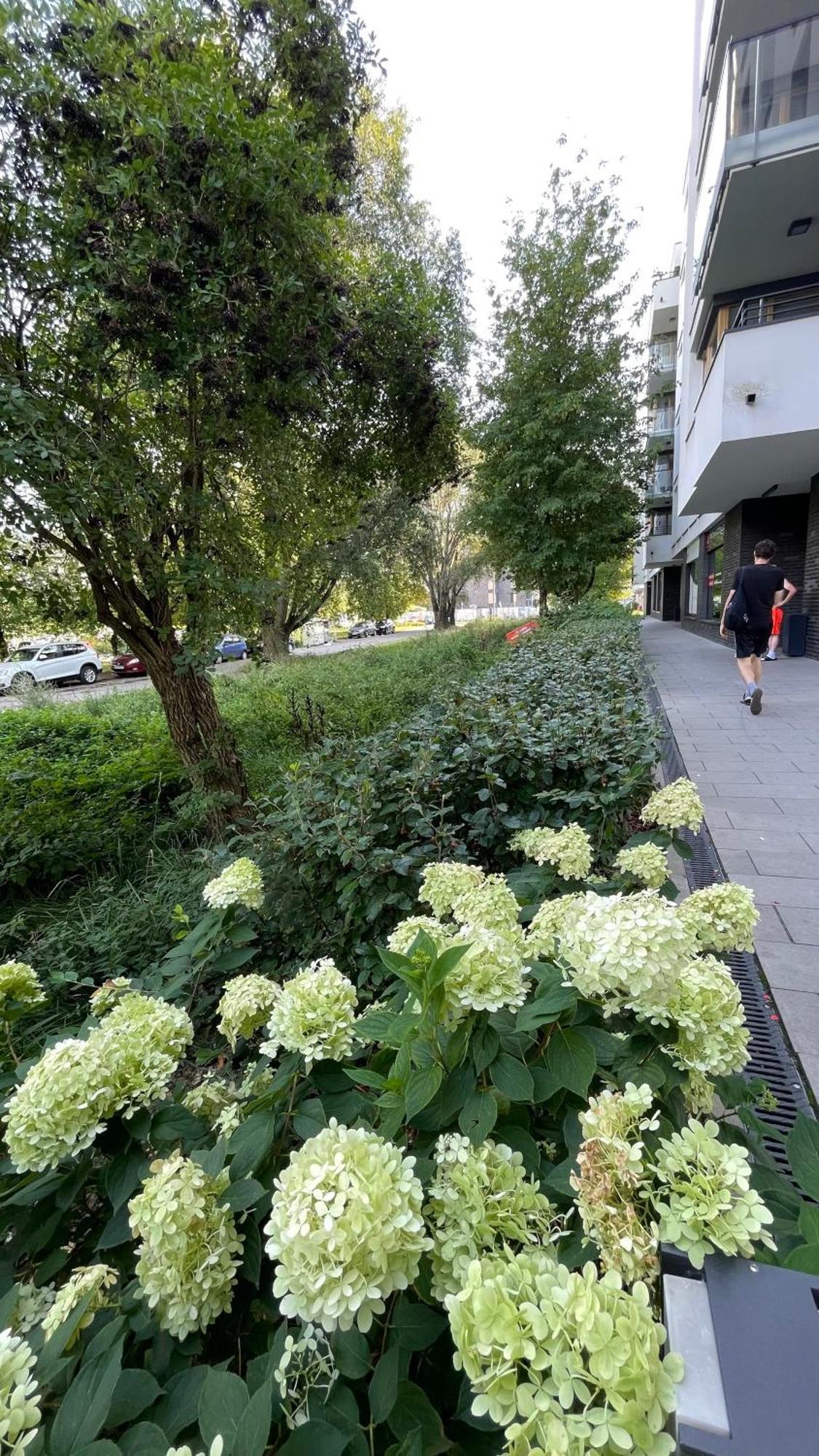 Apartamenty Warszawa Centrum Wlodarzewska 30 Εξωτερικό φωτογραφία